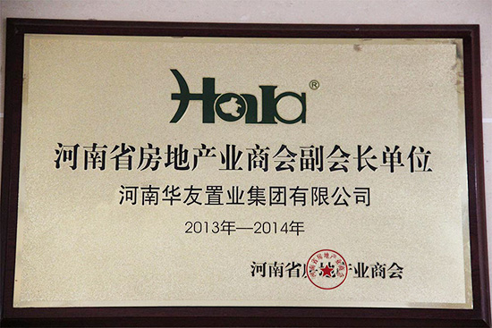 河南省房地產商會副會長單位.JPG